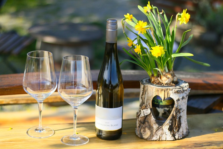 Zwei Weingläser, eine Flasche Wein und eine blühende Pflanze auf einem Holztisch in der Sonne