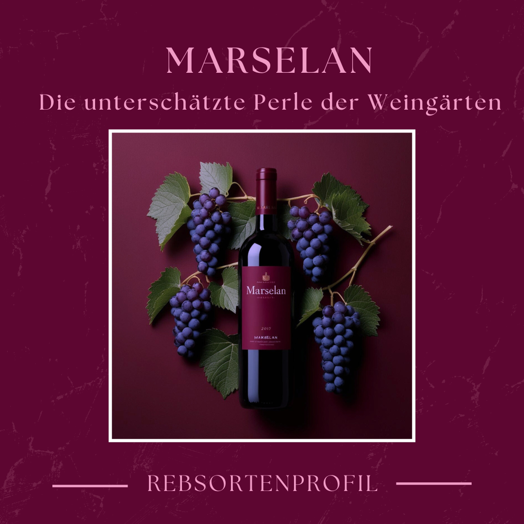 Marselan: Die Rebsorte mit Charakter