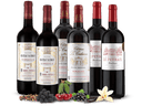 Bordeaux-Genusspaket 6 Flaschen