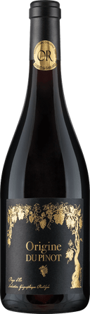Pinot Noir Origine du Pinot IGP