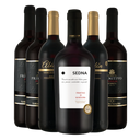 Sommelier-Auswahl Sommerweine Rot