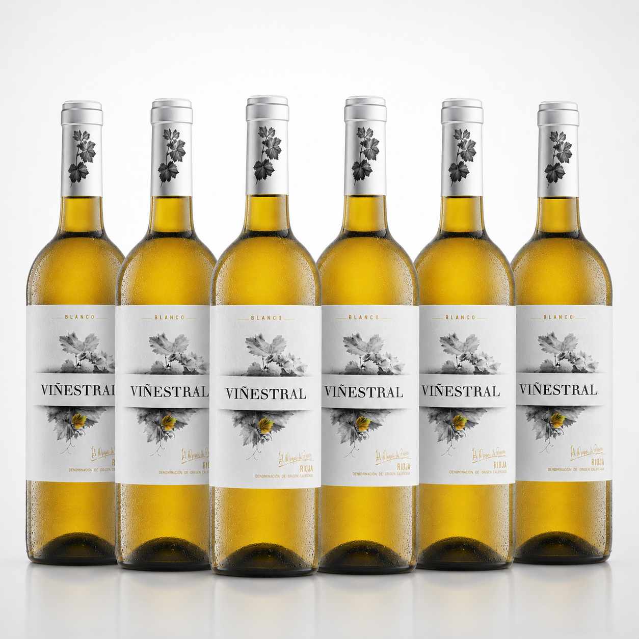 VIÑESTRAL Blanco Probierpaket