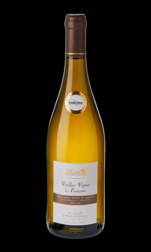 Muscadet Sevre et Maine sur lie "Alte Reben"
