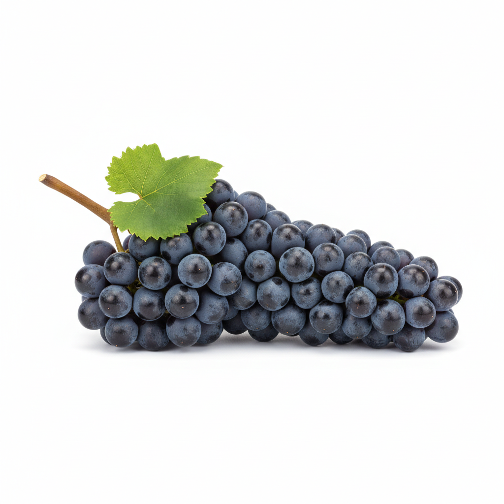 Merlot Wein