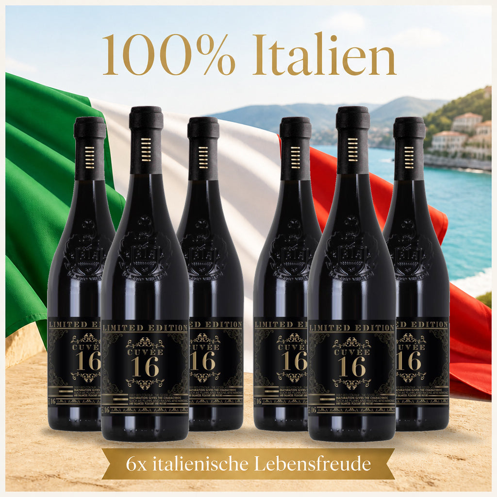 100% Italien – sechs Originalflaschen Botter Cuvée16, vier hinten und zwei vorne, große Italienflagge, sonniges mediterranes Meeresmotiv; 6x italienische Lebensfreude