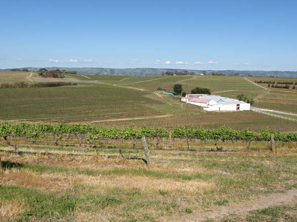Weinanbau Australien