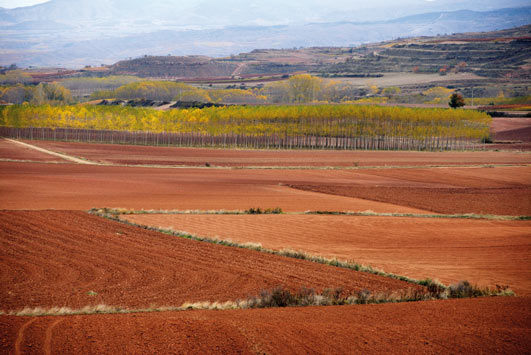 spanische Weinregion La Rioja