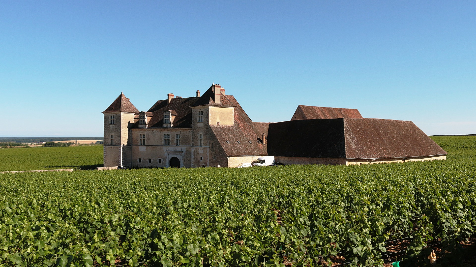 Die Weinbauregion Burgund und das Weingut Seguin-Manuel