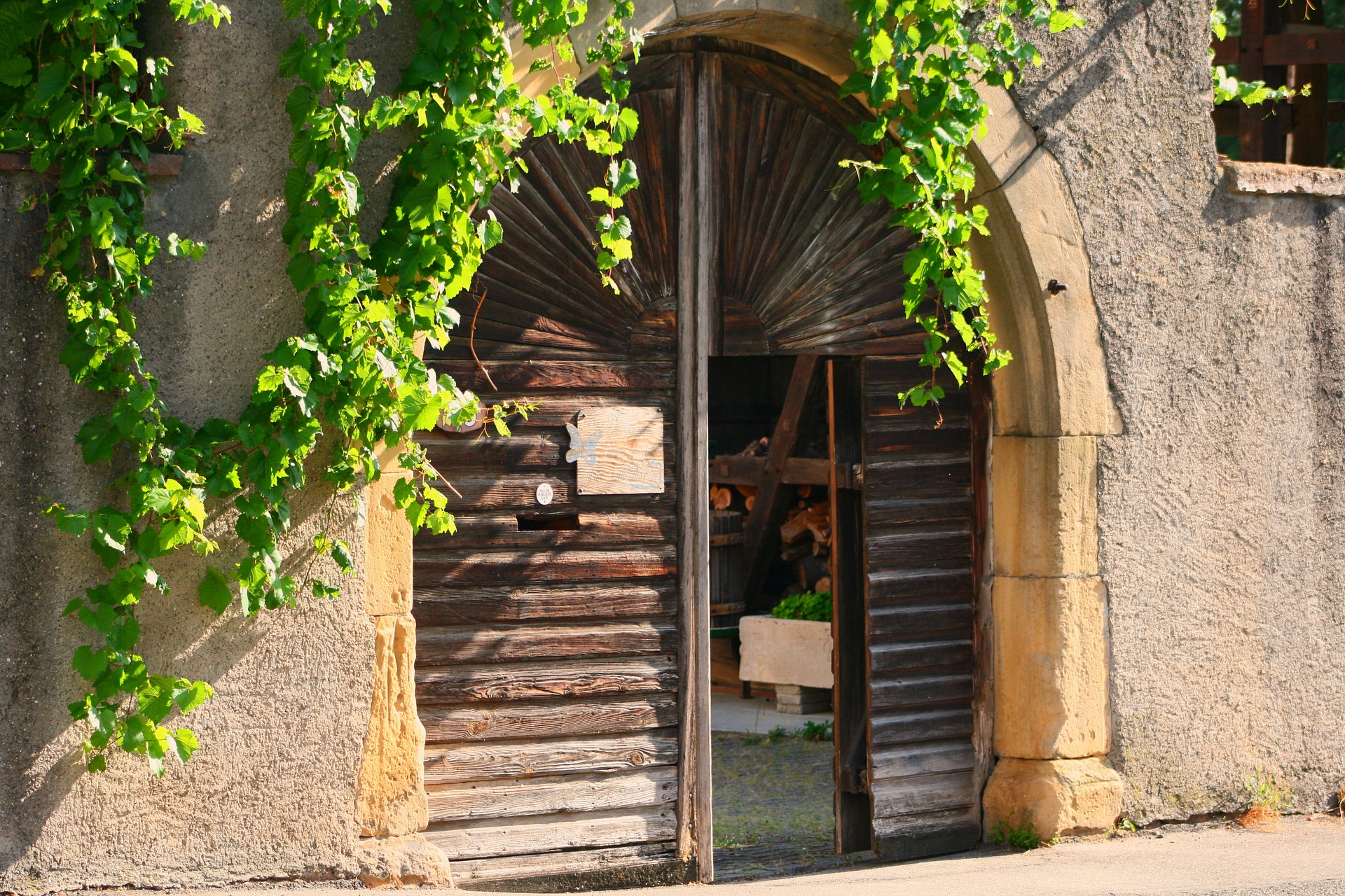 Große alte Holztür im Elsass, um die sich Weinblätter ranken und die einladend offen steht