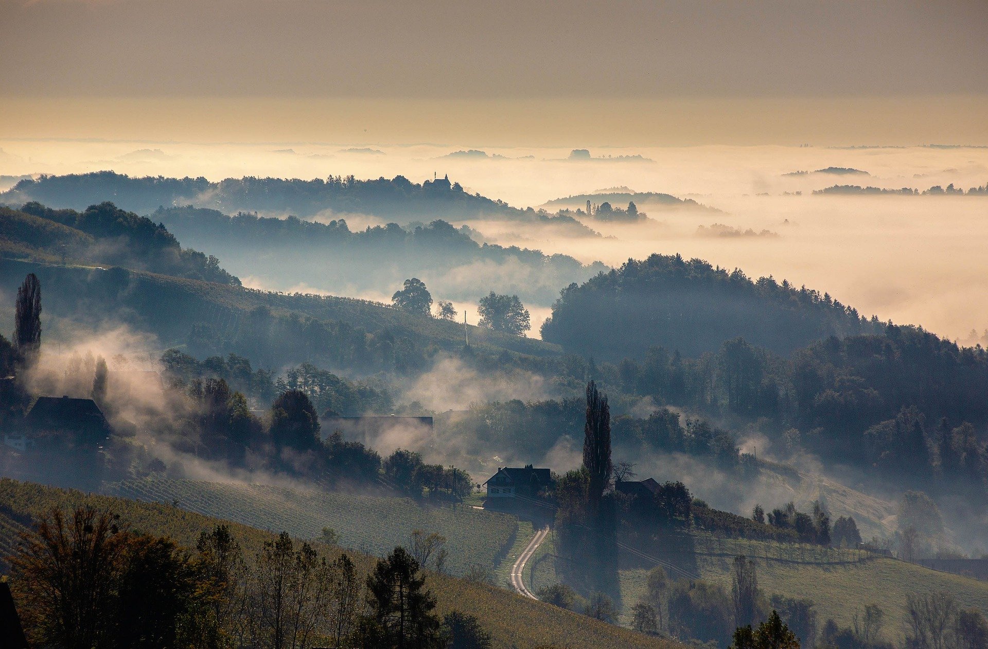 Die hügelige Landschaft des Burgenlandes bei Nebel