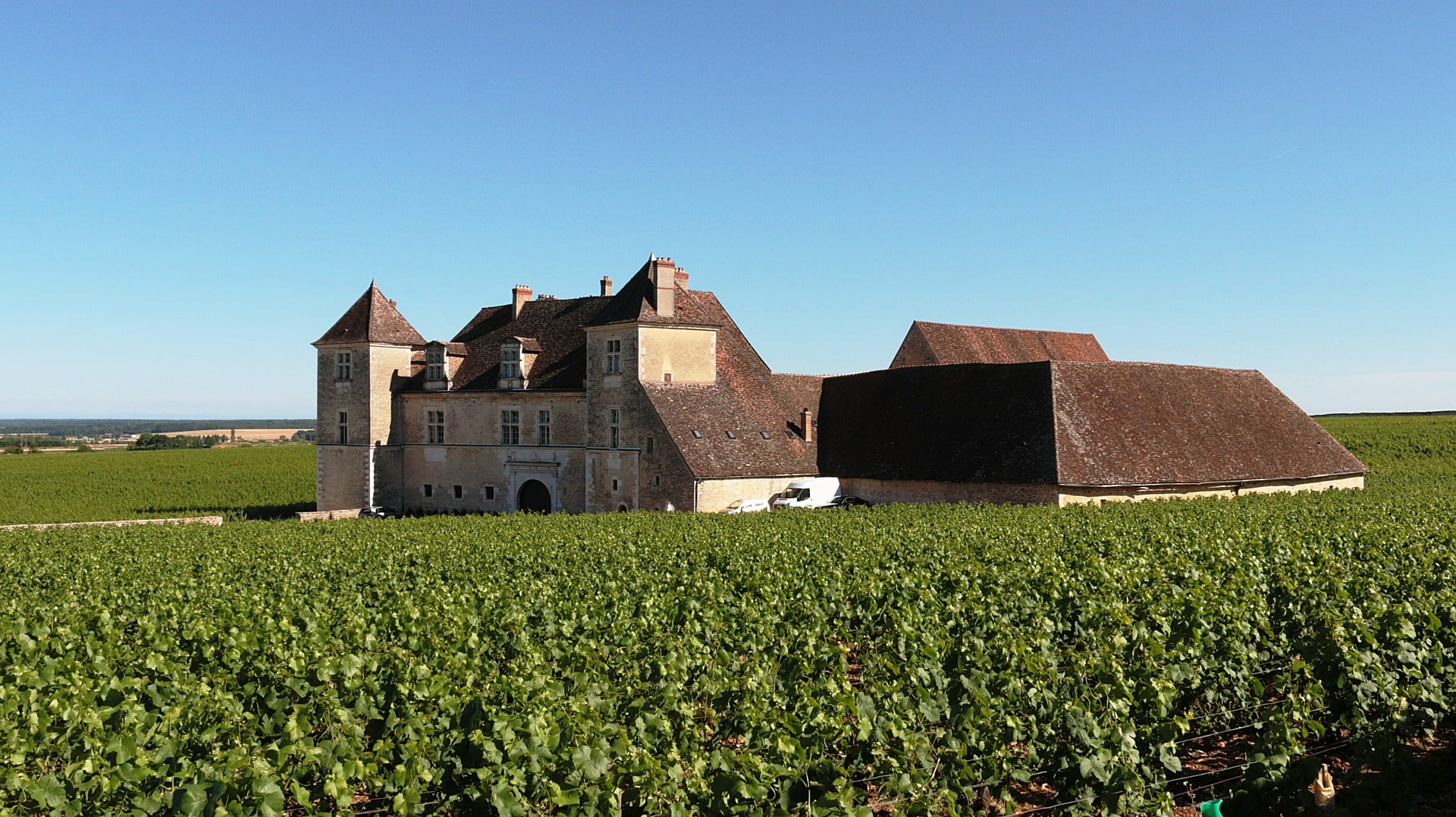 Die Weinbauregion Burgund und das Weingut Seguin-Manuel