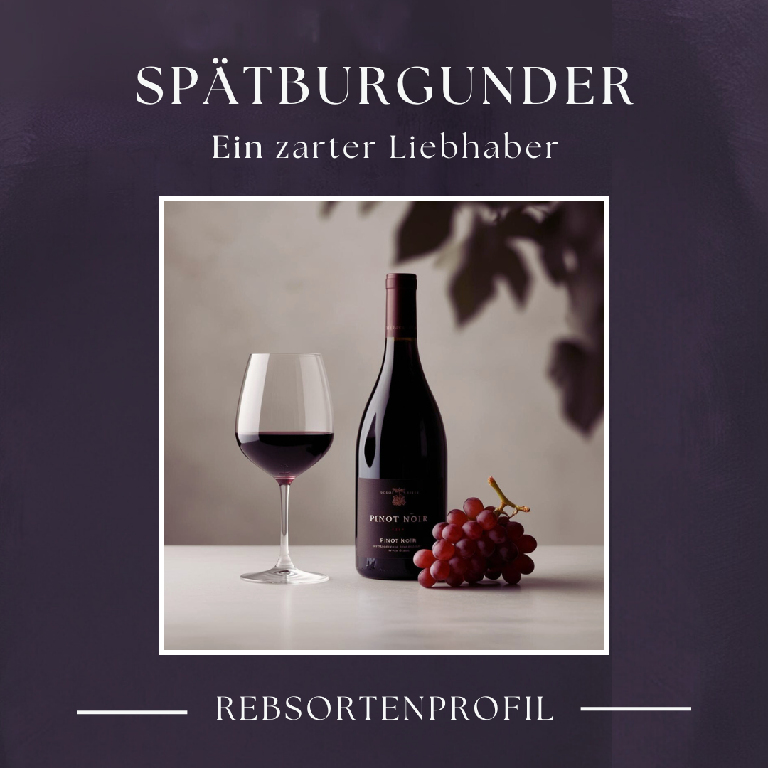 Ratgeber-Thema: Spätburgunder - Ein zarter Liebhaber bei ebrosia, Ihrem Experten für erlesene Weine
