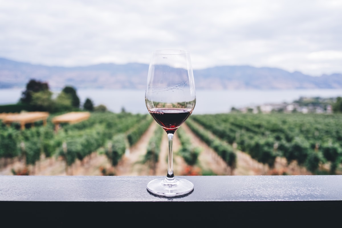 Sauvignon Blanc: Frischekick im Glas mit Aromen von Stachelbeere und Gras
