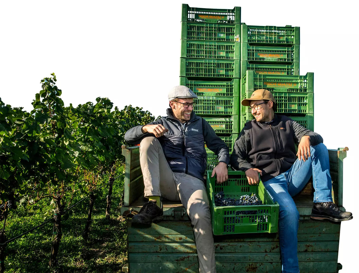 Weine vom Weingut Nittnaus