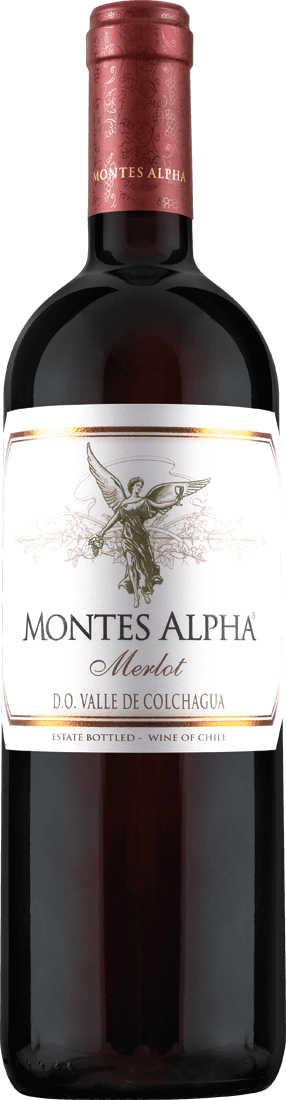 Alpha Merlot, Colchagua Valley