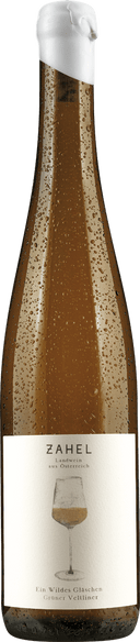 Grüner Veltliner Ein wildes Gläschen