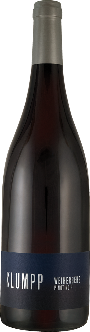 Pinot Noir Bruchsaler Weiherberg