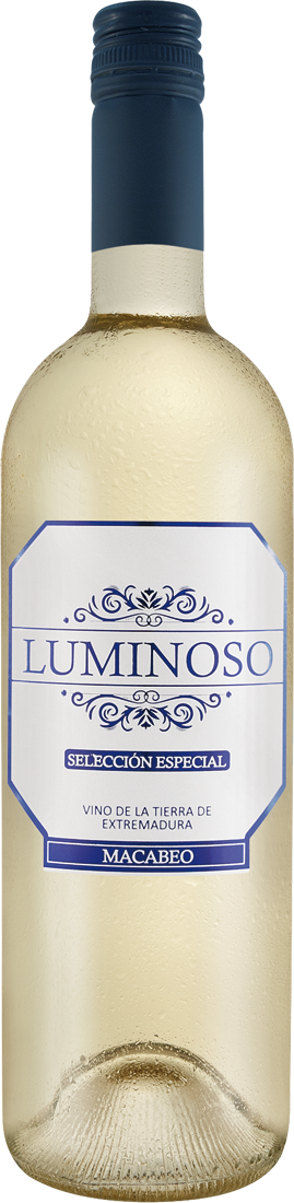 Macabeo LUMINOSO