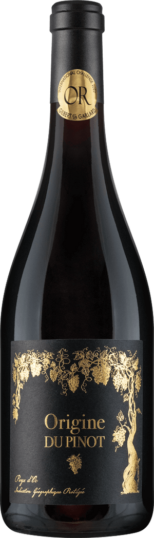 Pinot Noir Origine du Pinot IGP