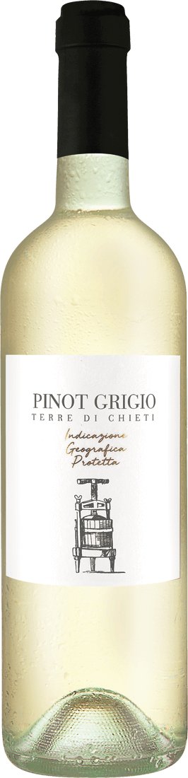 Pinot Grigio Terre di Chieti IGP