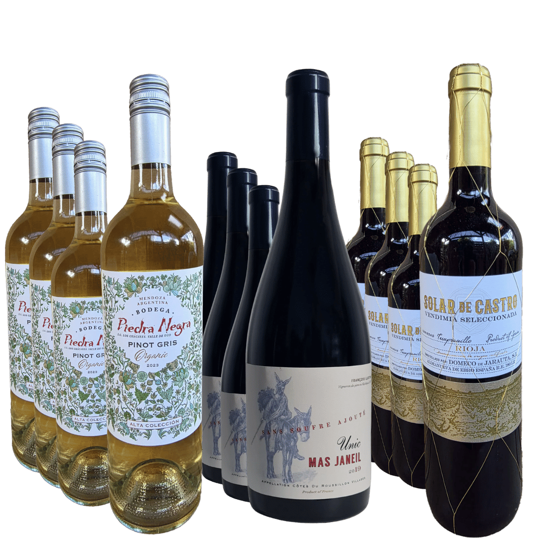 „NEWCOMER TRIO“ (12 Flaschen) | Limitiertes Vorteilspaket