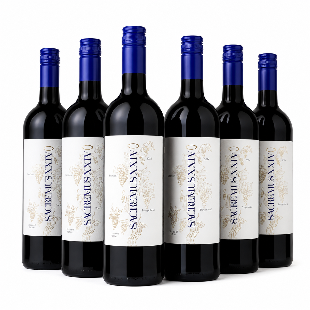 6x Sacremus "Bordeaux" aus dem Burgenland - rot Probierpaket