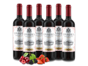 Vorteilspaket Bodegas Vina Chica Rioja DOC 6 Fl.