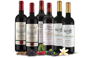 Bordeaux-Probierpaket versandkostenfrei