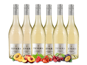 Probierpaket TEVERA Weißweine versandkostenfrei