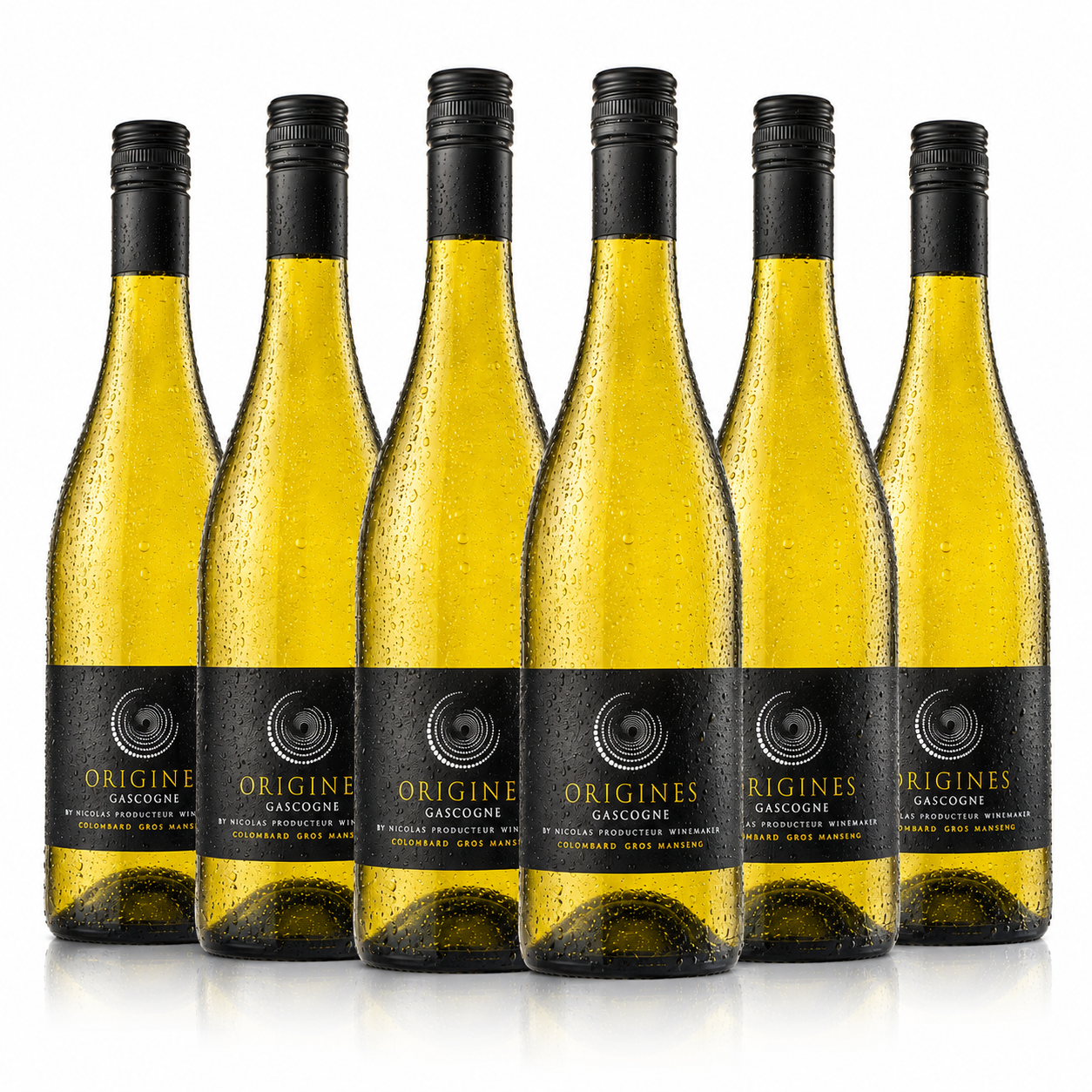 6x Probierpaket Côtes de Gascogne
