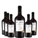 Aktionspaket 6x SEDNA Primitivo Di Manduria