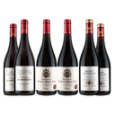 Schnäppchen-Weinpaket Südfranzösische Weine