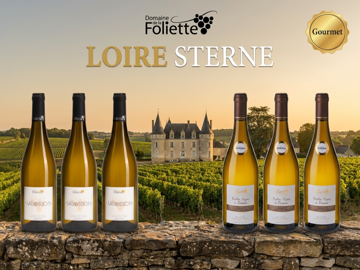 Loire-Sterne zum Kennenlernen