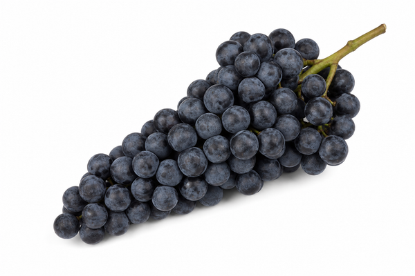 Weintraube Aglianico