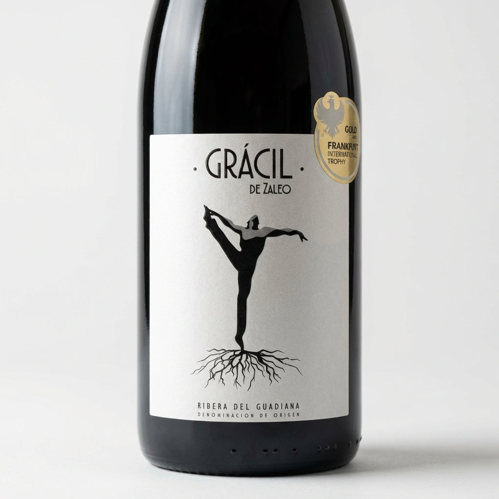 AI generated image for Gracil de Zaleo