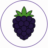 Brombeere Icon