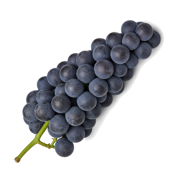 Weintraube Cabernet Franc