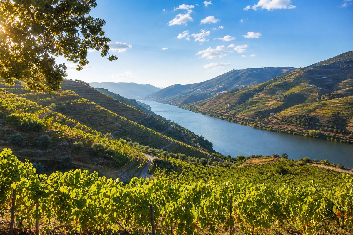 Landschaft in der Region Douro-Tal