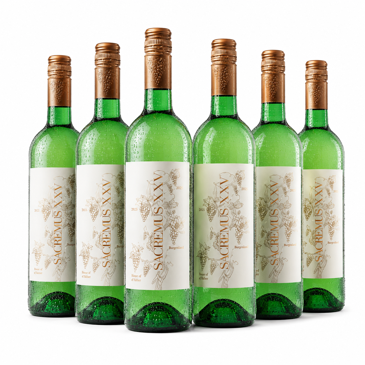 6er Probierpaket "Bordeaux" aus dem Burgenland - weiß