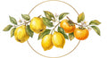 gelbe Früchte