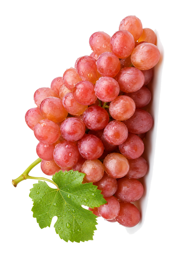 Weintraube Gewürztraminer