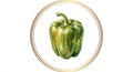 grüne Paprika