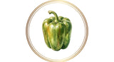 grüne Paprika