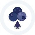 Weinaroma Blaubeere