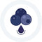 Weinaroma Blaubeere