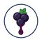 Weinaroma Cassis