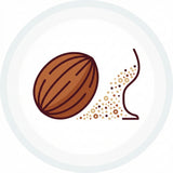 Muskatnuss Icon