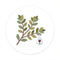 Weinaroma Thymian
