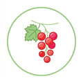 Wein rote Johannisbeere