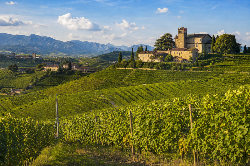 Lombardei Weinregion Landschaftsbild